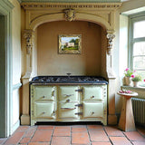 Fine Gilt Framed  Oleograph "A Prize Bull in a River Landscape"