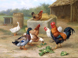 Fine Oleograph on Canvas of Chickens & Ducks in a Stable Yard