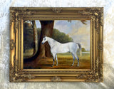 Fine Oleograph on Canvas - Dapple Gray Horse in a Wooded Landscape aft. Ferneley