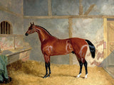 Gilt Framed Oleograph of  a Bay Horse in a Stable - John Ferneley