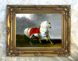 Fine Oleograph on Canvas of the White Arab Stallion "Millenium" aft. Abraham Cooper