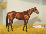 Fine Oleograph on Canvas of the Racehorse Eclipse in a Stable