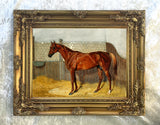 Fine Oleograph on Canvas - Study of a Chestnut Racehorse in a Stall