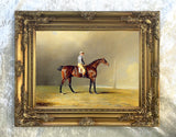 Excellent Oleograph on Canvas - Portrait of the Racehorse "Diamond" aft. Ben Marshall