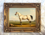 Gilt Framed Oleograph of a White Arabian Stallion in a Landscape