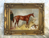 Fine Oleograph on Canvas - A Bay Racehorse in a Stable at. Harry Hall