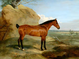 Fine Oleograph on Canvas of Bay Horse in an Extensive Landscape