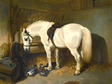 Fine Oleograph of a White Horse & Ducks in a Stable