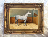 Fine Oleograph on Canvas - Dapple Grey Horse in a Stall