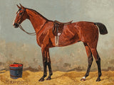Fine Oleograph on Canvas of a Bay Hunter in a Stable after Emil Volkers