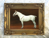 Fine Lithograph on Stretched Canvas of a Dapple Grey Horse aft. FM Hollams