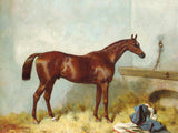Fine Oleograph on Canvas of a Chestnut Racehorse in a Stable after Harry Hall