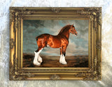 Fine Oleograph on Canvas of a Bay Shire Horse