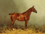 Fine Oleograph on Canvas of the Racehorse "A1" in a Stable