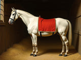 Gilt Framed Oleograph of a White Racehorse with a Red Blanket in a Stable