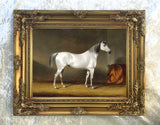 Oleograph on Canvas of a Grey Racehorse in a Stable