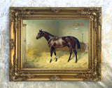 Superb Oleograph on Canvas of The Racehorse "Pearl Diver" in a Stable
