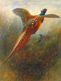 Fine Lithograph on Canvas - A Pheasant in Breaking Cover aft. Charles Whymper