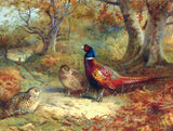 Fine Oleograph on Canvas - A Cock Pheasant & Hens in a Landscape