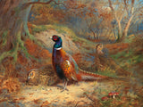 Pheasants in a Woodland Glade - Fine Lithograph on Canvas after Thorburn