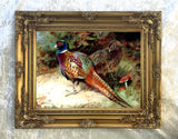 Pheasants in a Copse - Fine Oleograph on Canvas after Thorburn