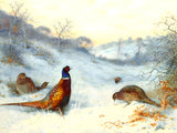 Pheasants in a Wintry Woodland Landscape - Fine Lithograph on Canvas after Thorburn