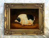 Fine Oleograph on Canvas Portrait of a Prize Gloucester Sow