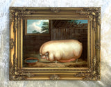 Fine Oleograph on Canvas Portrait of a Prize Pig in a Stall