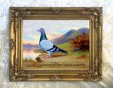 Fine Oleograph on Canvas of the Racing Pigeon "Blue Boy"