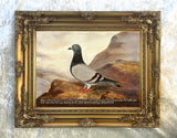 Fine Oleograph on Canvas of the Racing Pigeon "Livewire"