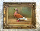 Fine Oleograph on Canvas of a Champion Racing Pigeon