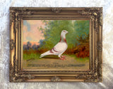 Fine Oleograph on Canvas of the Racing Pigeon "Barney"