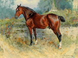 Fine Oleograph on Canvas of a Bay Horse aft. Wm Woodhouse