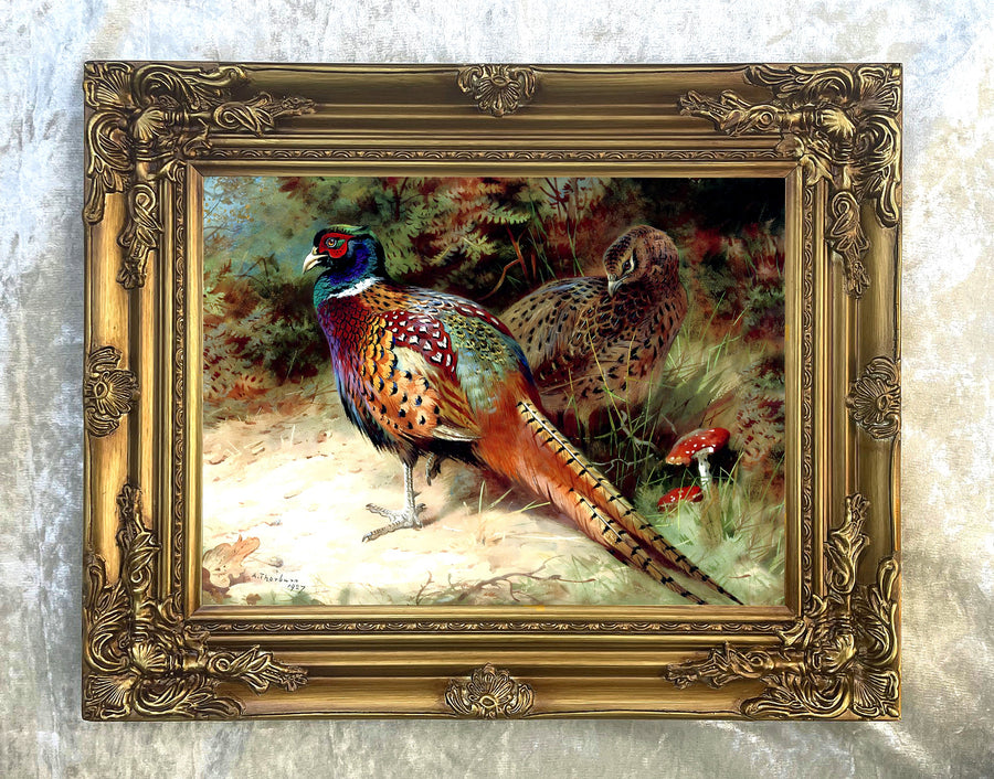 Pheasant Paintings