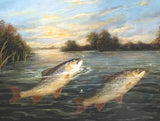 Fine Angling Oleograph of Brown Trout rising