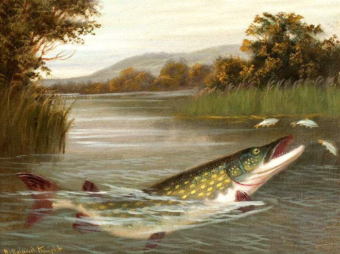 Fine Angling Oleograph on Canvas - 