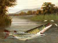 Fine Angling Oleograph on Canvas - "Pike Feeding"