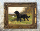 Fine Ornate Framed Oil Painting Print - Black Labrador in a Landscape