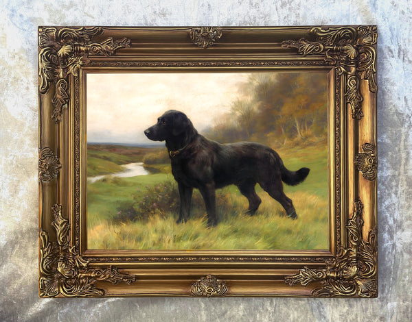 Fine Ornate Framed Oil Painting Print - Black Labrador in a Landscape