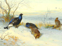 Black Game on a Winter Moor  - Fine Lithograph on Canvas after Thorburn