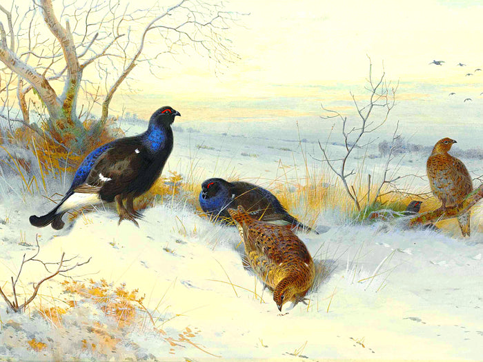 Black Game on a Winter Moor  - Fine Lithograph on Canvas after Thorburn