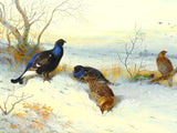 Black Game on a Winter Moor  - Fine Lithograph on Canvas after Thorburn