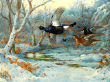 Fine Large Oleograph on Canvas of Black Game in Flight