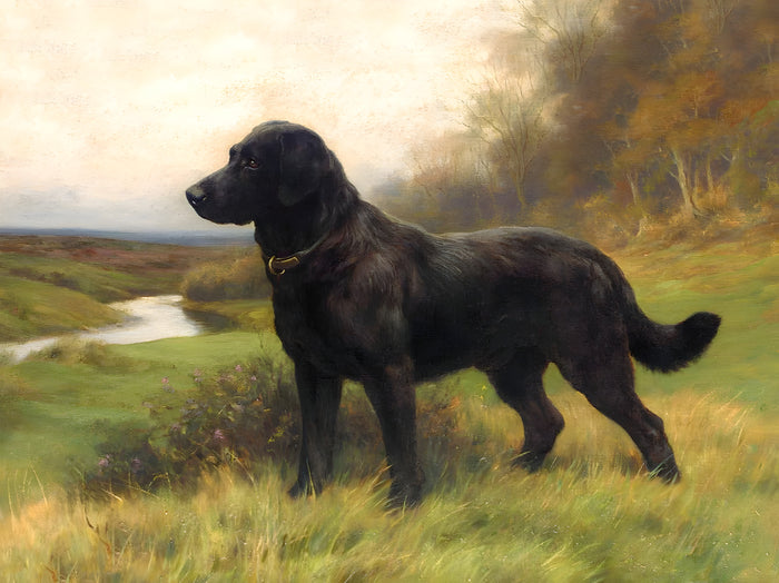 Fine Ornate Framed Oil Painting Print - Black Labrador in a Landscape