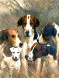 Gilt Framed Oleograph of a group of Hounds