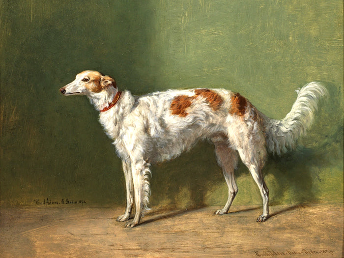 Fine Gilt Framed Oleograph of a Borzoi Hound