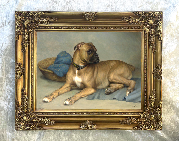 Fine Oleograph on Canvas - Portrait of a Boxer Dog