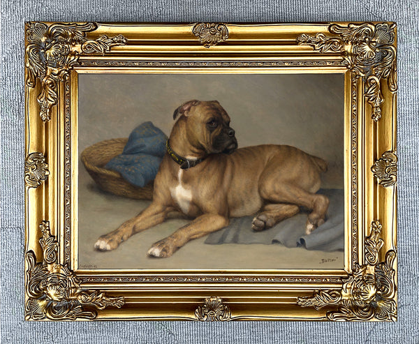 Fine Oleograph on Canvas - Portrait of a Boxer Dog