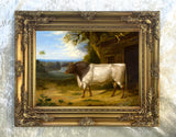 Fine Oleograph on Canvas of a Prize Bull in a Landscape in a Gilt Gesso Frame