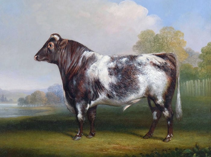 Fine Gilt Framed  Oleograph on Canvas 